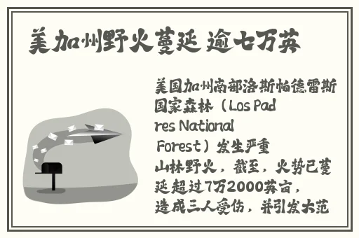 老司机精品视频